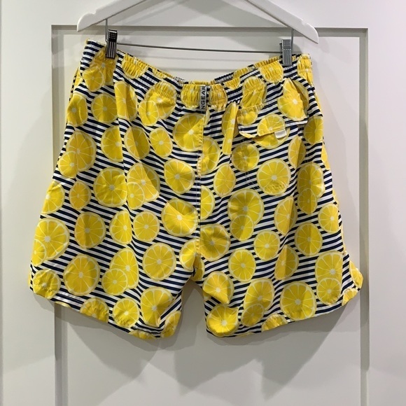Ingear Lemon print Swim Trunks - Picture 4 of 10